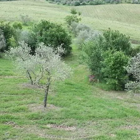 Отель Saulina