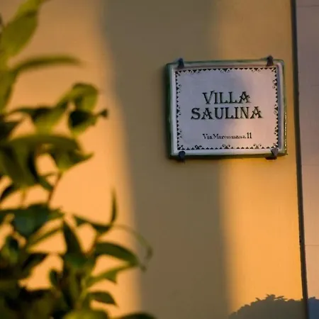 Saulina 酒店 拉斯特拉·阿塞格纳